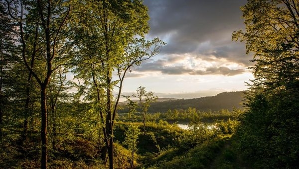 Fot. Archiwum joomla.wadowice24.promo-peak.ovh