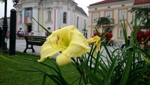 Fot. Karina Płaszczyca