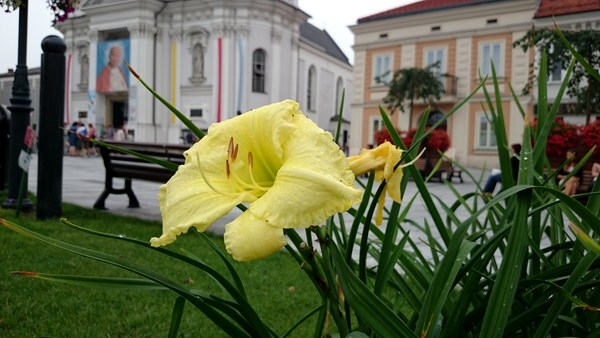 Fot. Karina Płaszczyca