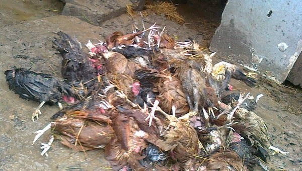 Fot. Archiwum joomla.wadowice24.promo-peak.ovh