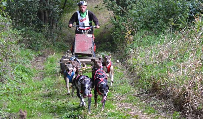 Fot. archiwum własne Łukasz Ptaś