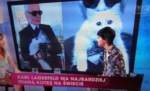 Fot. kadr z programu telewizji śniadaniowej TVP