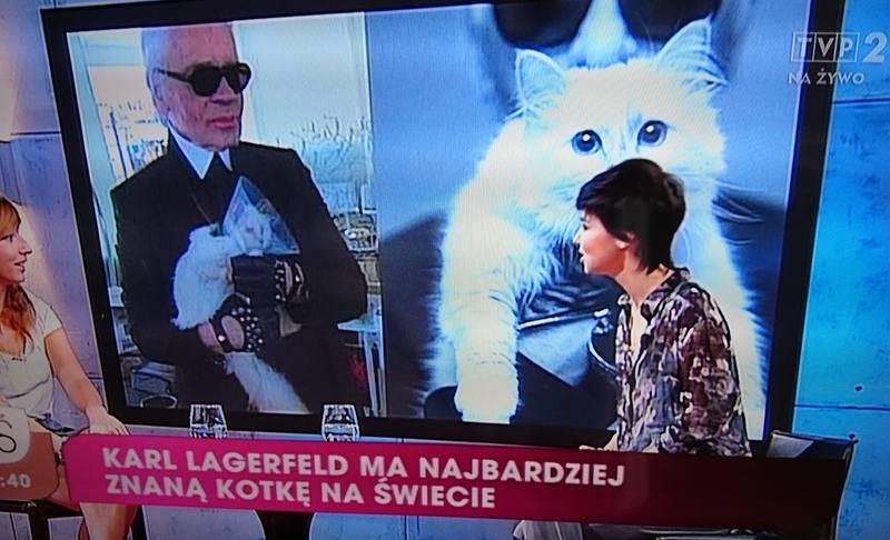 Fot. kadr z programu telewizji śniadaniowej TVP