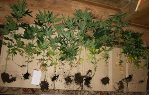 Fot. KPP Sucha Beskidzka