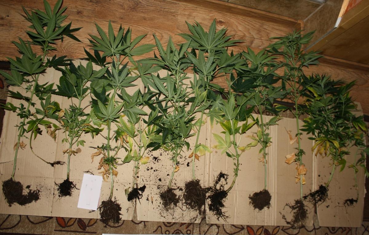 Fot. KPP Sucha Beskidzka