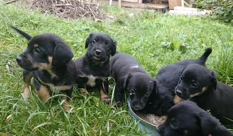 Fot. UM Kalwaria Zebrzydowska