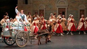 Fot. Materiały Prasowe