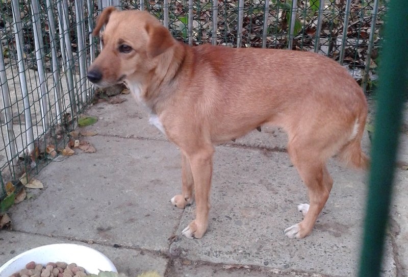 Fot. RZiOŚ UM Wadowice