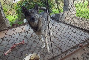 Fot. UM Kalwaria Zebrzydowska