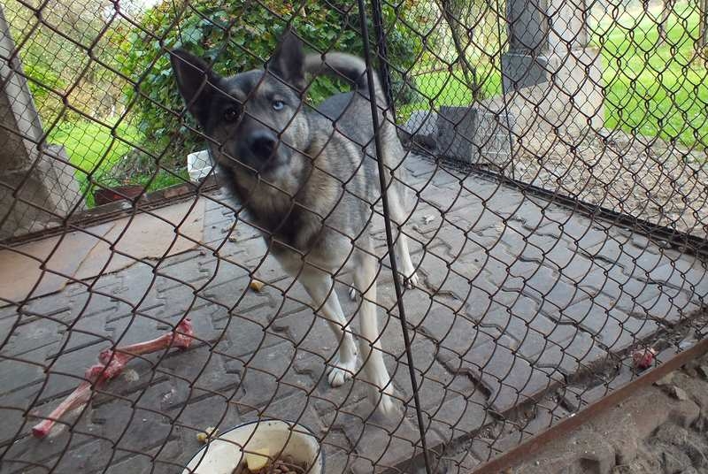 Fot. UM Kalwaria Zebrzydowska