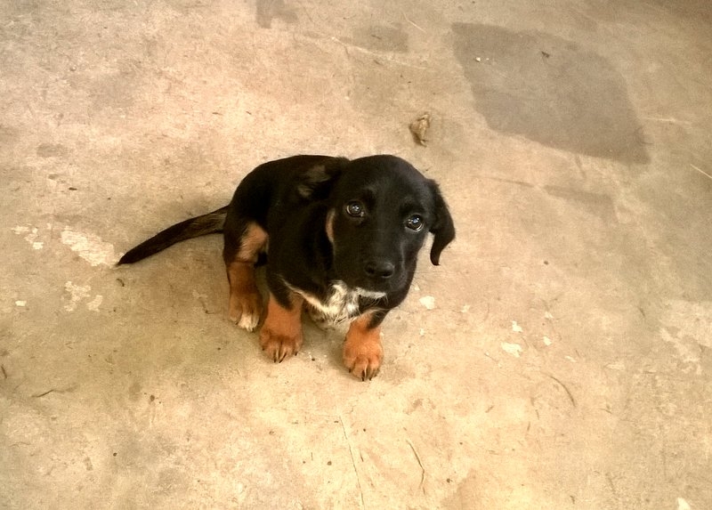 Fot. Referat Zieleni UM Wadowice