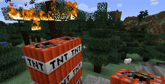 Owca, dynamit i płonące drzewo. Zero logiki, ale nie przejmuj się tym