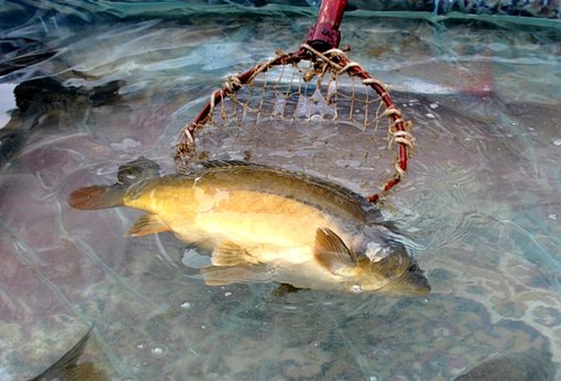 Fot. Archiwum joomla.wadowice24.promo-peak.ovh