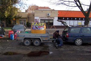 Fot. Tomasz Mamcarczyk