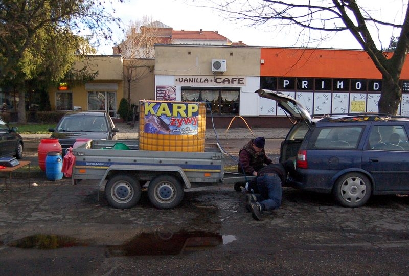 Fot. Tomasz Mamcarczyk