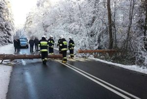 Fot. Marcin Wroński