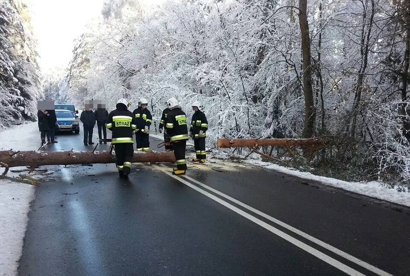 Fot. Marcin Wroński