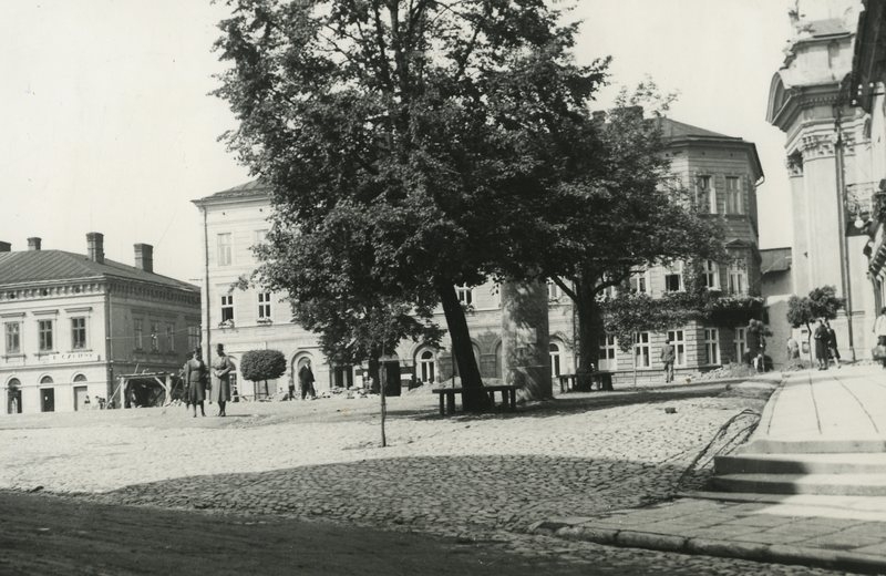 Fot. materiały promocyjne