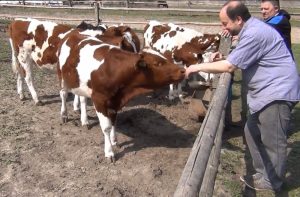 Fot. kadr z filmu na YouTube.pl