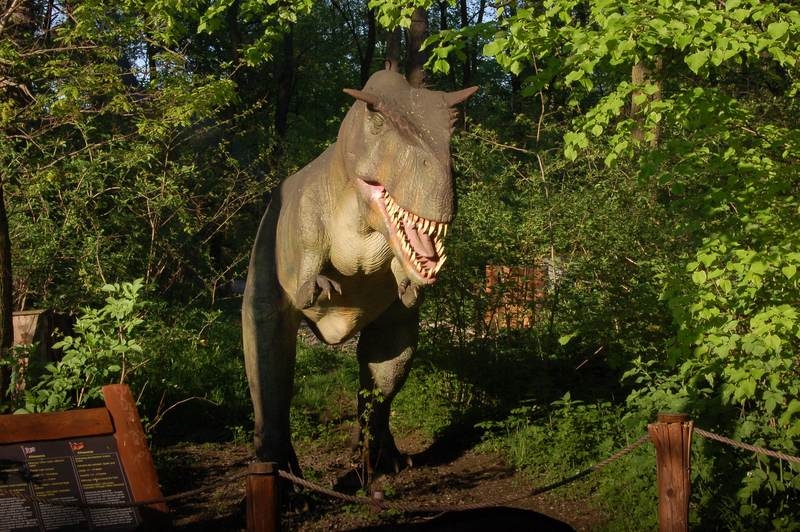 Fot. Archiwum joomla.wadowice24.promo-peak.ovh