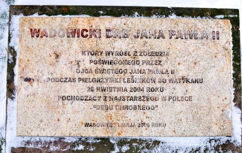 Fot. Archiwum joomla.wadowice24.promo-peak.ovh