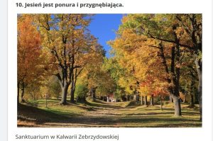 Fot. screen Popularnie.pl