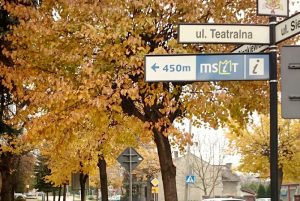 Fot. Karina Płaszczyca