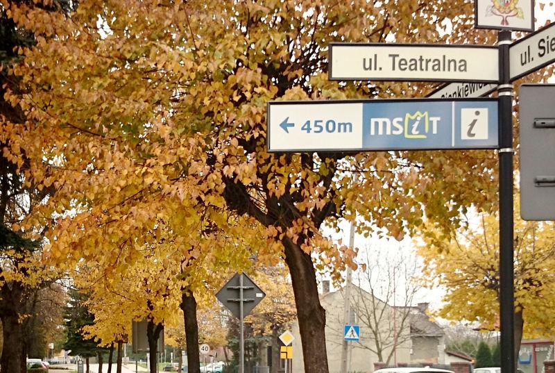 Fot. Karina Płaszczyca