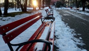 Fot. Karina Płaszczyca