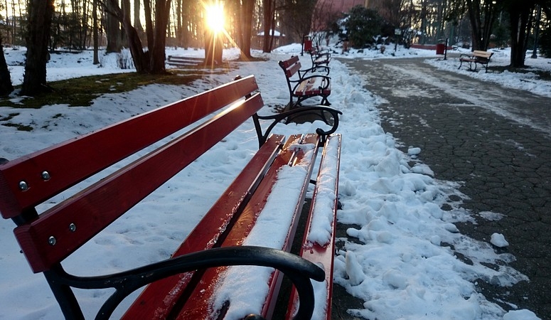 Fot. Karina Płaszczyca