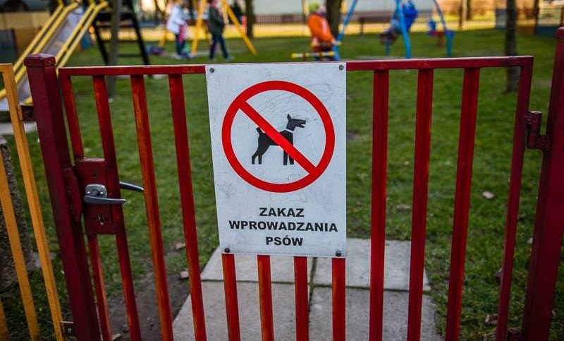 Fot. Archiwum joomla.wadowice24.promo-peak.ovh