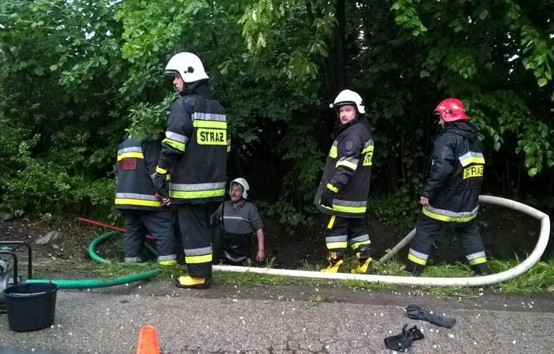 Fot. Zdjęcie Nadesłane