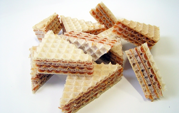 Fot. Materiały Prasowe