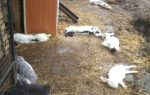 Fot. Archiwum Prywatne