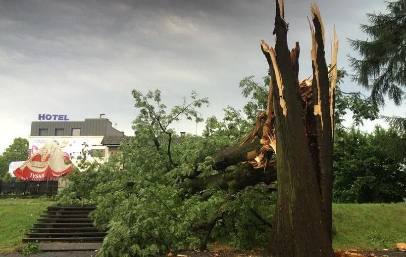 Fot. Marcin Płaszczyca