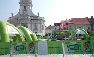 Fot. Karina Płaszczyca