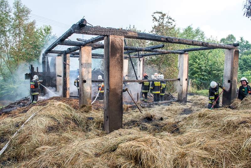 Fot. joomla.wadowice24.promo-peak.ovh