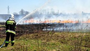 Fot. Archiwum joomla.wadowice24.promo-peak.ovh