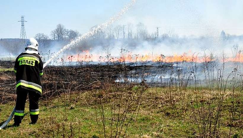 Fot. Archiwum joomla.wadowice24.promo-peak.ovh