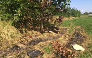 Fot. joomla.wadowice24.promo-peak.ovh