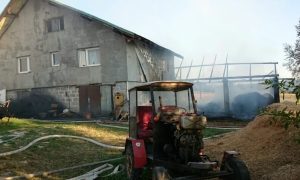 Fot. Karina Płaszczyca