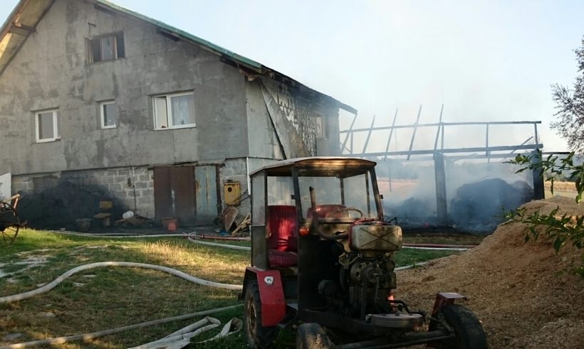 Fot. Karina Płaszczyca