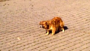 Fotografia nadesłana do redakcji