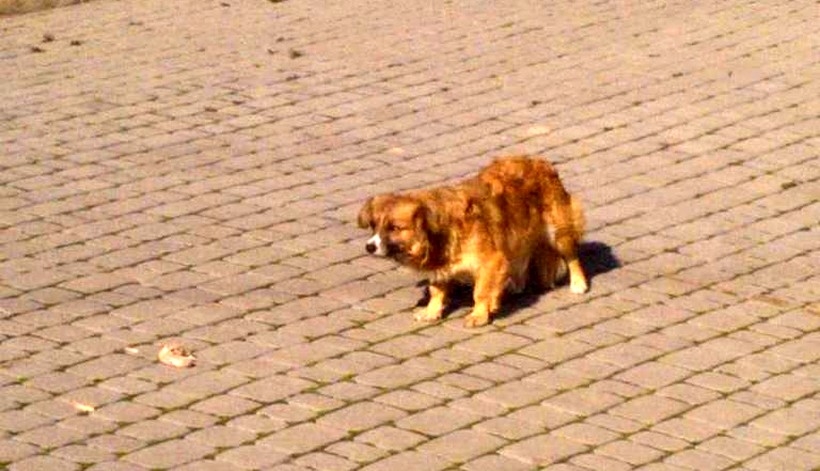 Fotografia nadesłana do redakcji