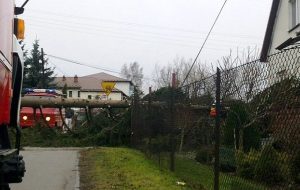 Fot. Archiwum joomla.wadowice24.promo-peak.ovh