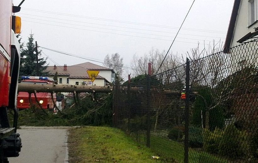 Fot. Archiwum joomla.wadowice24.promo-peak.ovh