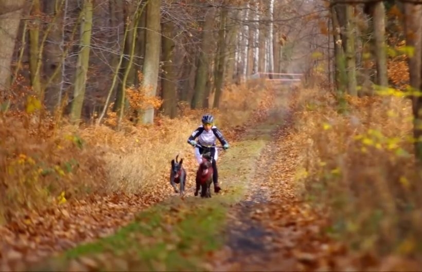 Fot. kadr z filmu na YouTube.pl