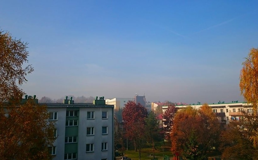 Fot. Karina Płaszczyca