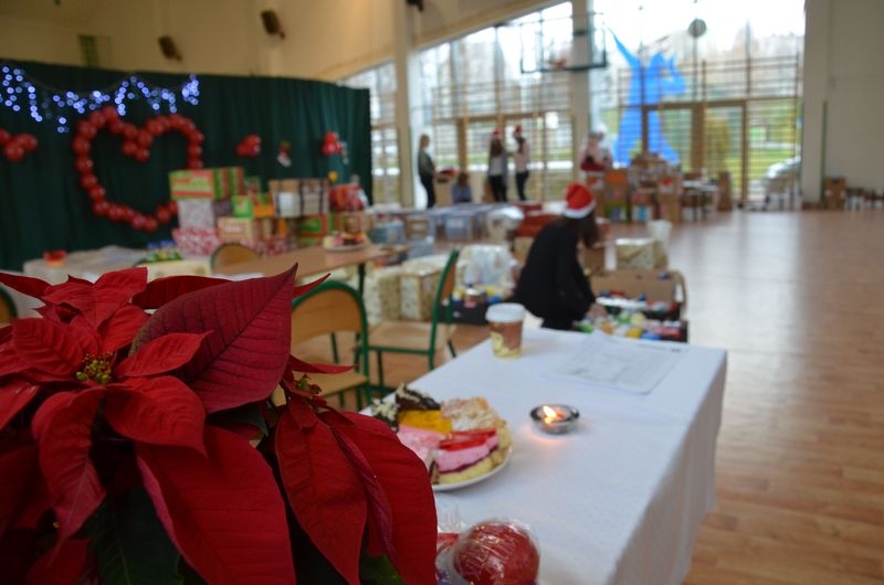 Fot. Tomasz Mamcarczyk