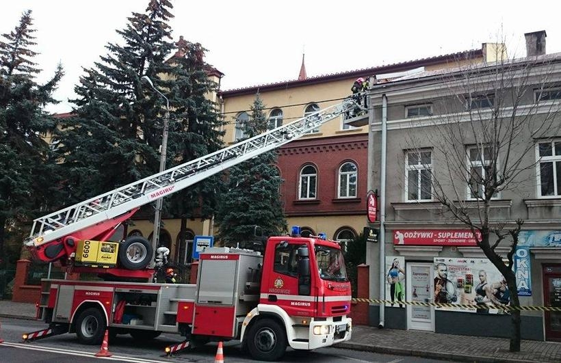 Fot. Karina Płaszczyca